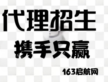 国内口碑好的第三方代理招生平台-163启航网