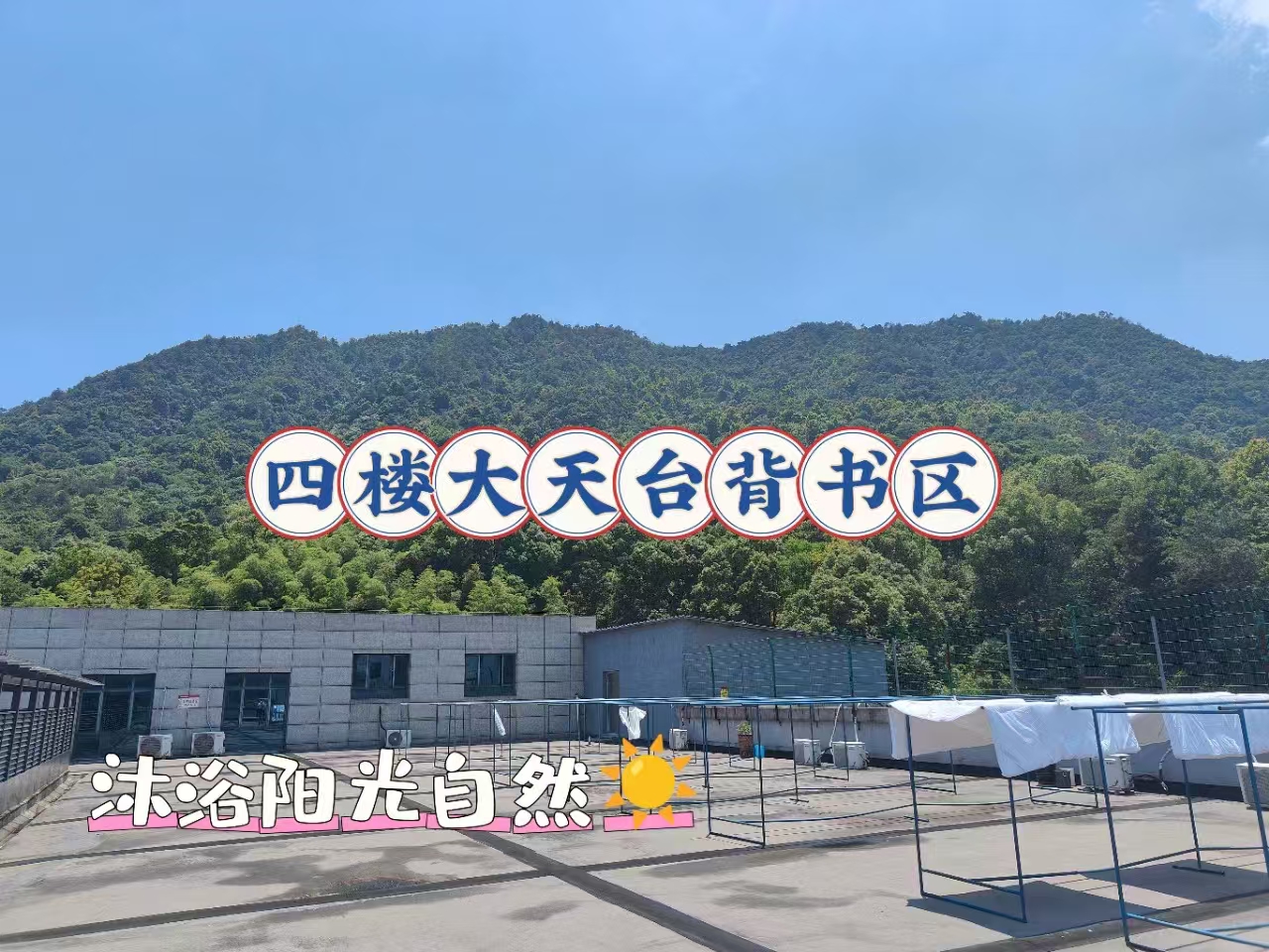 全国口碑 TOP10 线上考研全科辅导机构 全阶段精选名单